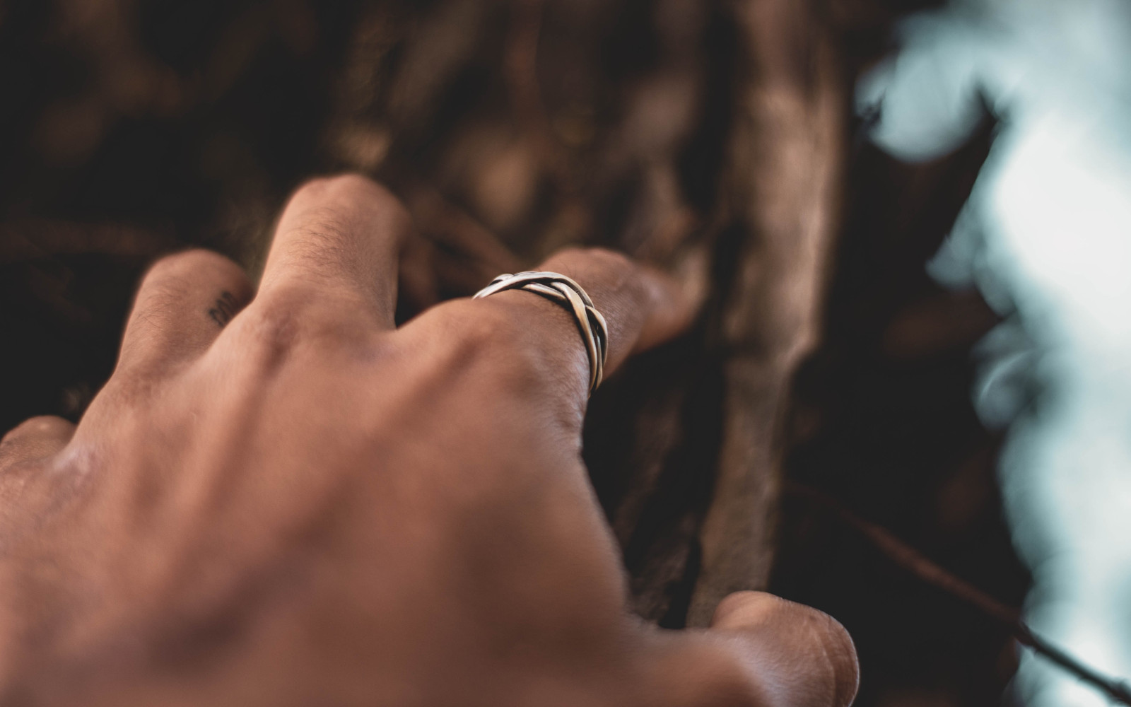 Hand vor einem Baum