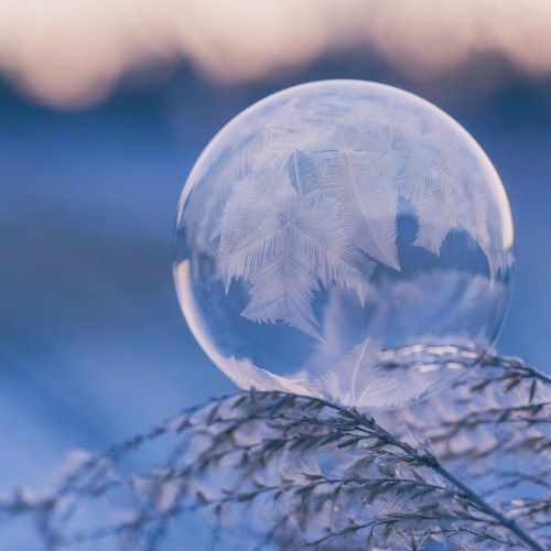 Winter Eiskristall